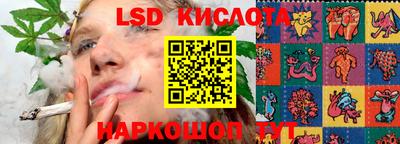a pvp Гатчина