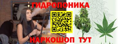 дживик Гагарин