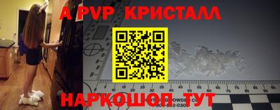 a pvp Гатчина