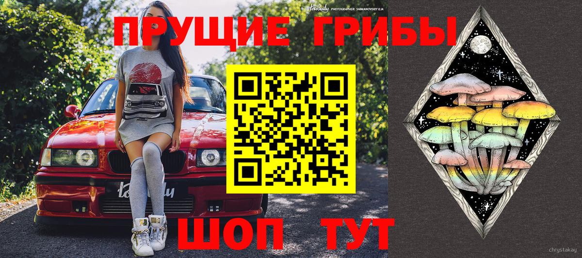 Галлюциногенные грибы Cubensis Можга